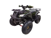 Wels ATV Thunder 200 сс
