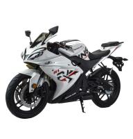 Motoland R1 300