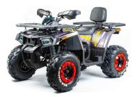 Motoland ATV 200 WILD TRACK X