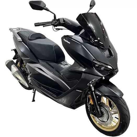 Regulmoto ELEMENT 300CC 4T (LJ300T-18) EFI