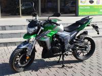 Regulmoto T-Leopard 300