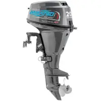 Mikatsu MF20FES - EFI