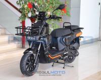 Regulmoto Zoomer