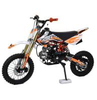 Motoland APEX 10
