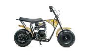Motoland 100 RT100 (154F 4HP)