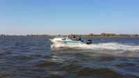 Катер Тактика 500 cruise