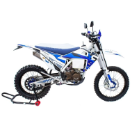 Regulmoto LEGEND 300