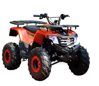 Wels THUNDER AX 125