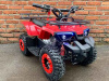 MOWGLI MINI HARDY 4T