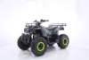MOTAX ATV Grizlik T200 LUX