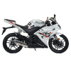 Motoland R1 300