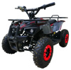 MOTAX Grizlik Х16 E1000