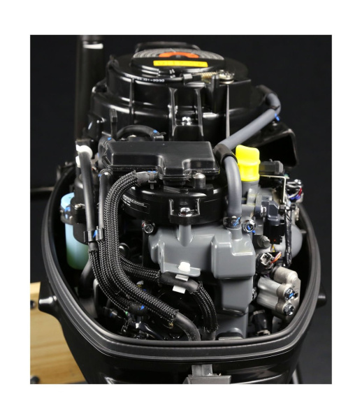 Лодочный мотор Suzuki DF 20 AS (AL)