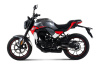 TMBK MONTANA  250 (165FMM)  эптс
