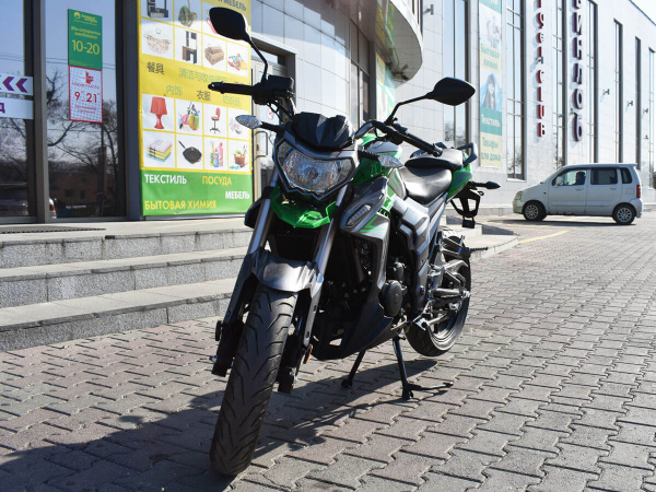 Regulmoto T-Leopard 300