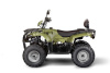 Irbis ATV 200