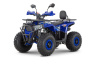 Wels Trail 125 PRO