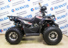 Avantis Hunter 8 New Premium