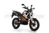 ROCKOT HOUND 250 (171YMM ЭПТС)