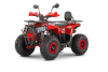 Wels Trail 125 PRO