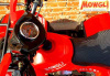 MOWGLI BOLD 8+