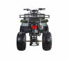 Wels ATV Thunder 200 сс