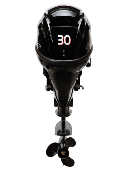 Hidea HDEF30FEL-T
