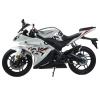 Motoland R1 300