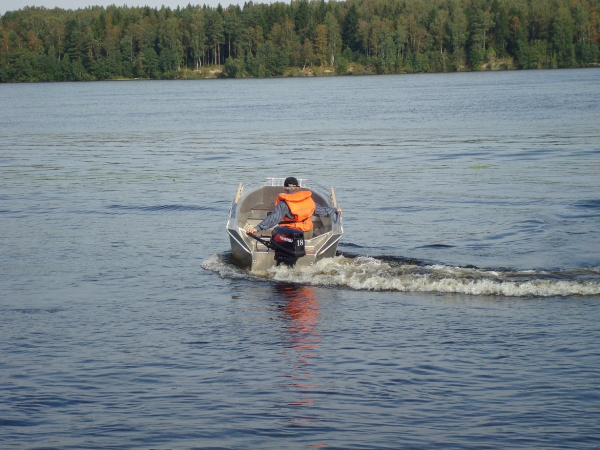 Алюминиевая лодка Wellboat-42 румпельное управление