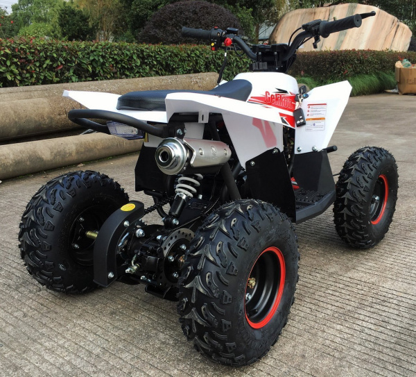 MOTAX Gekkon 90 cc