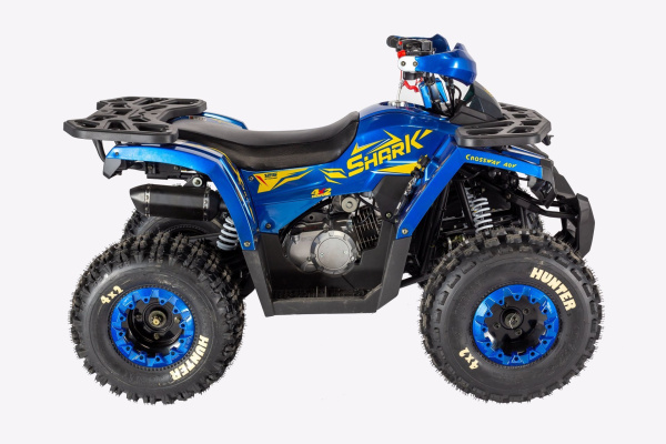 Avantis HS8 Shark