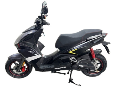 Regulmoto FORMULA 50 2Т