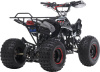 BSE XT-1