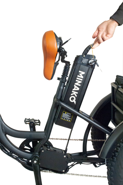 Электроцикл Minako Trike