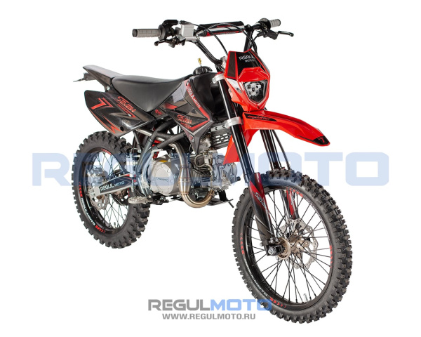 Regulmoto SEVEN MEDALIST PRO 19/16
