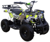 Avantis ATV Classic 800w электрический
