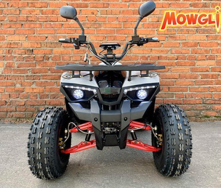 MOWGLI E-HARDY 8+ 1000W