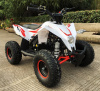 MOTAX Gekkon 90 cc
