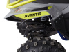 Avantis Ray 8 Lux