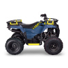 Avantis Ray 200 Basic