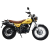 Motoland V-RAPTOR 250