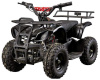 Avantis ATV Classic 800w электрический