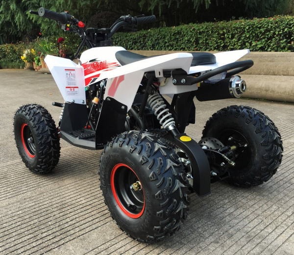MOTAX Gekkon 90 cc