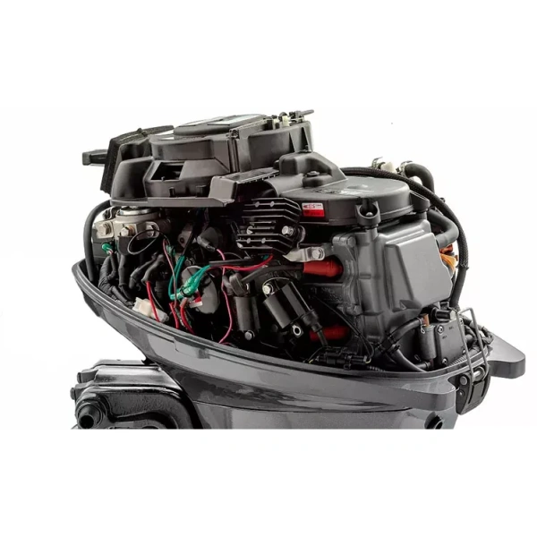 Mikatsu MF20FES - EFI