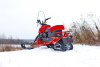 Снегоход Dingo T 200 "Спец цена по телефону"