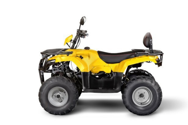 Irbis ATV 250