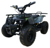 MOTAX Grizlik Х16 E1000