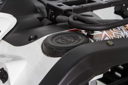Baltmotors Striker 400 EFI