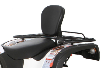 Baltmotors Striker 500 EFI