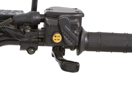 Baltmotors Striker 500 EFI
